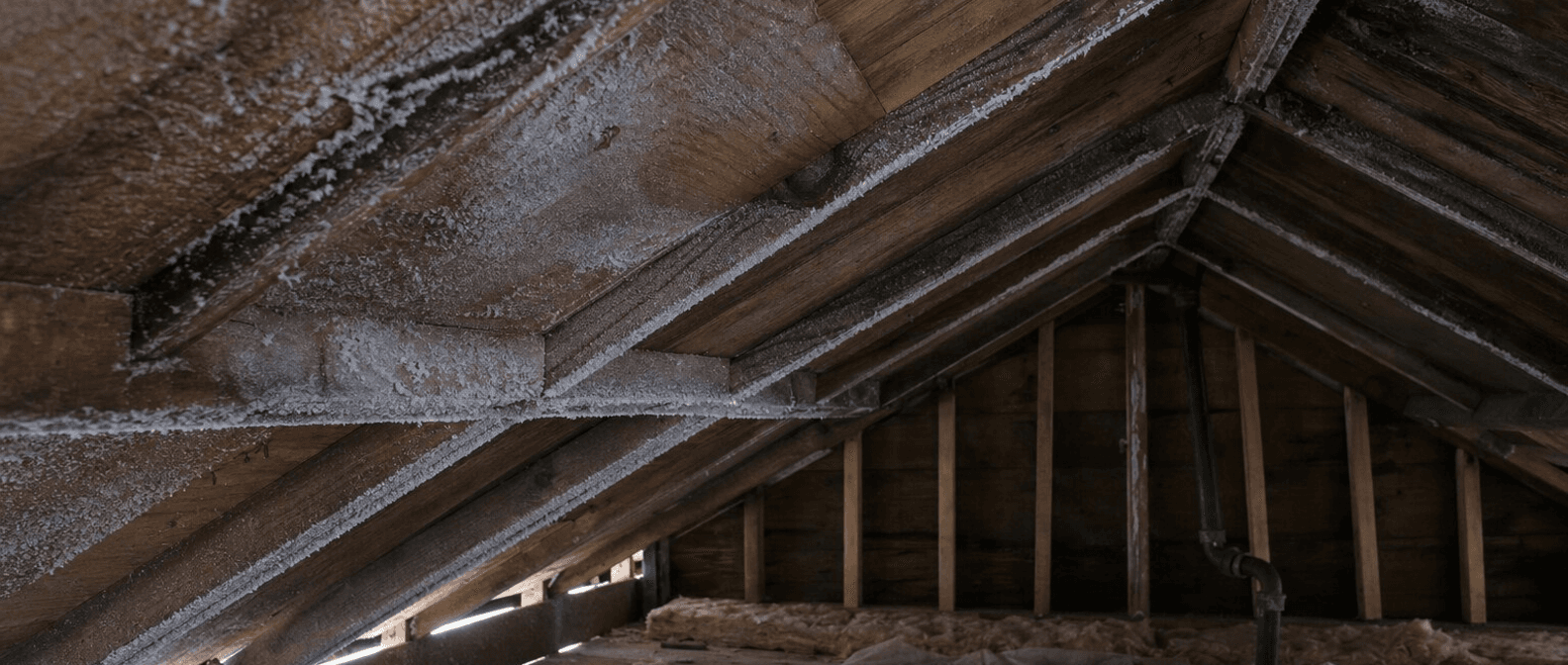 Signs Your Roof Has Poor Ventilation (and What It's Costing You)
