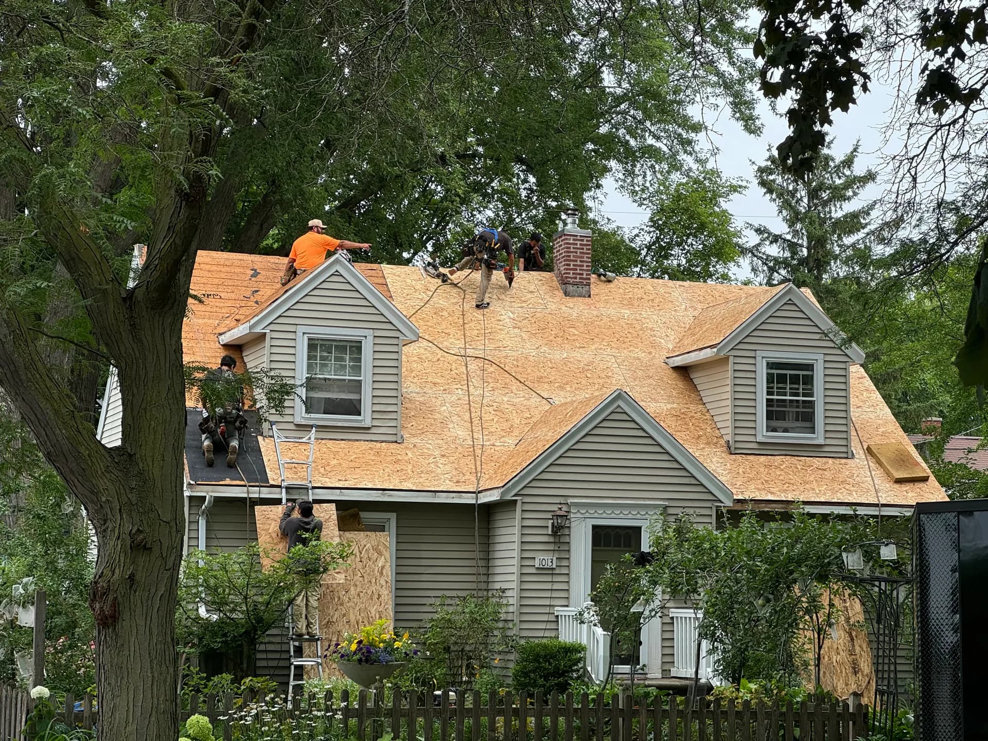 Fresh roof decking installed on a cape cod home during a roof replacement in Howard WI